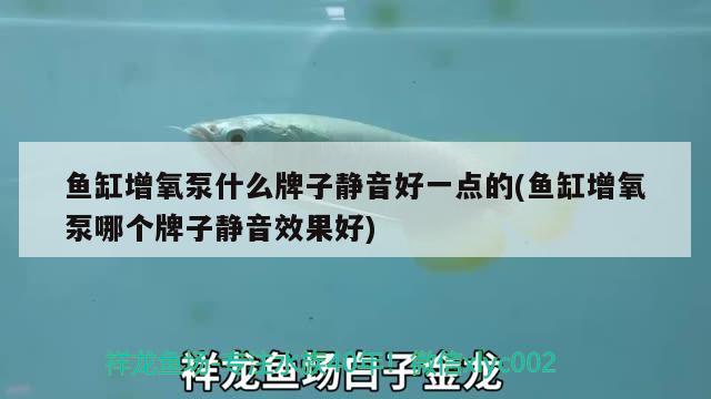 魚缸增氧泵什么牌子靜音好一點的(魚缸增氧泵哪個牌子靜音效果好)