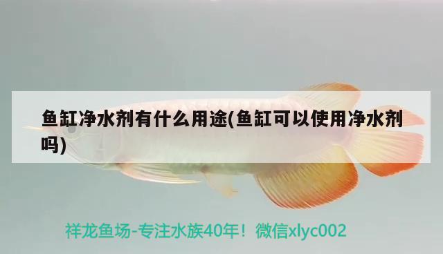 魚缸凈水劑有什么用途(魚缸可以使用凈水劑嗎)