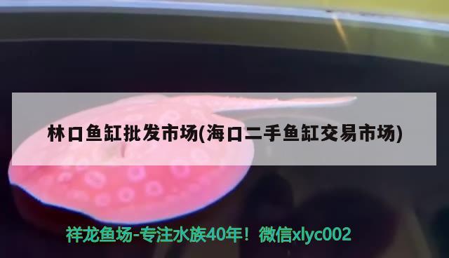 林口魚缸批發(fā)市場(?？诙拄~缸交易市場) 哥倫比亞巨暴魚苗