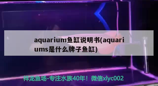 aquarium魚缸說明書(aquariums是什么牌子魚缸) 元寶鯽