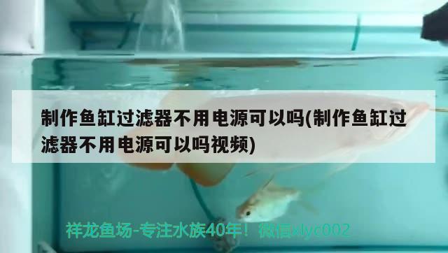 制作魚缸過濾器不用電源可以嗎(制作魚缸過濾器不用電源可以嗎視頻) 馬拉莫寶石魚