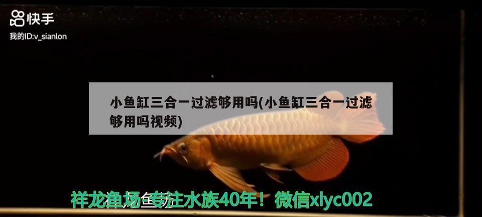 小魚缸三合一過濾夠用嗎(小魚缸三合一過濾夠用嗎視頻) 觀賞魚進出口