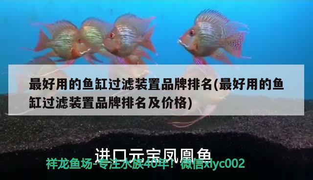 最好用的魚缸過濾裝置品牌排名(最好用的魚缸過濾裝置品牌排名及價(jià)格) 朱巴利魚