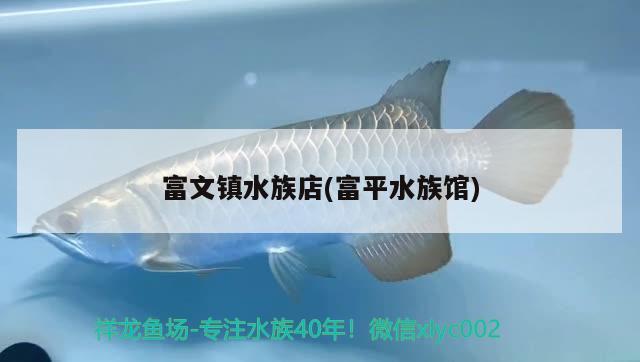 富文鎮(zhèn)水族店(富平水族館) 龍魚專用燈