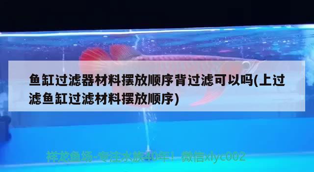 魚缸過濾器材料擺放順序背過濾可以嗎(上過濾魚缸過濾材料擺放順序) 過背金龍魚