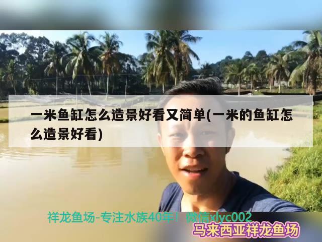 一米魚缸怎么造景好看又簡(jiǎn)單(一米的魚缸怎么造景好看) 名貴錦鯉魚