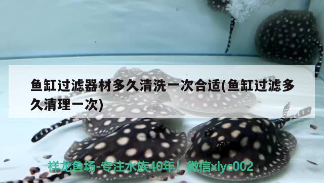 魚缸過濾器材多久清洗一次合適(魚缸過濾多久清理一次)