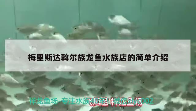 梅里斯達斡爾族龍魚水族店的簡單介紹 祥龍龍魚專用水族燈 第1張