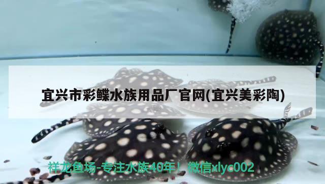 宜興市彩鰈水族用品廠官網(wǎng)(宜興美彩陶)