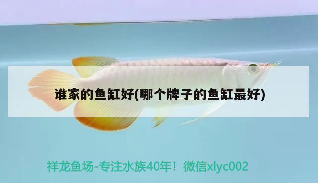 誰(shuí)家的魚(yú)缸好(哪個(gè)牌子的魚(yú)缸最好) 撒旦鴨嘴魚(yú)