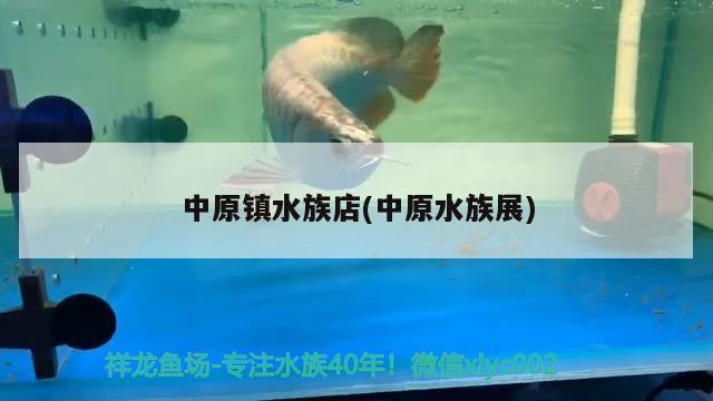 中原鎮(zhèn)水族店(中原水族展) 水族展會