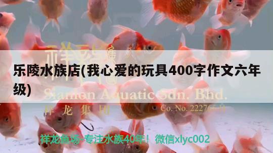 樂(lè)陵水族店(我心愛(ài)的玩具400字作文六年級(jí)) 白子球鯊魚