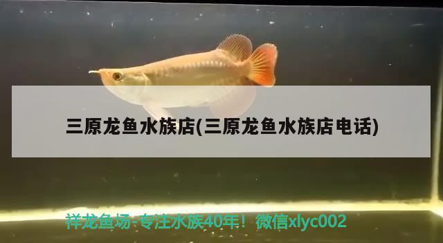 三原龍魚水族店(三原龍魚水族店電話) 其他益生菌