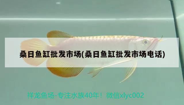 桑日魚缸批發(fā)市場(chǎng)(桑日魚缸批發(fā)市場(chǎng)電話)