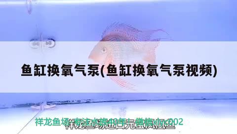 魚(yú)缸換氧氣泵(魚(yú)缸換氧氣泵視頻) 紅龍專(zhuān)用魚(yú)糧飼料