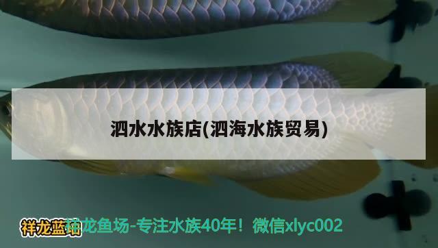 泗水水族店(泗海水族貿(mào)易) 泗水龍魚(yú)