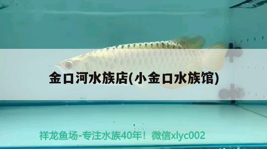 金口河水族店(小金口水族館)