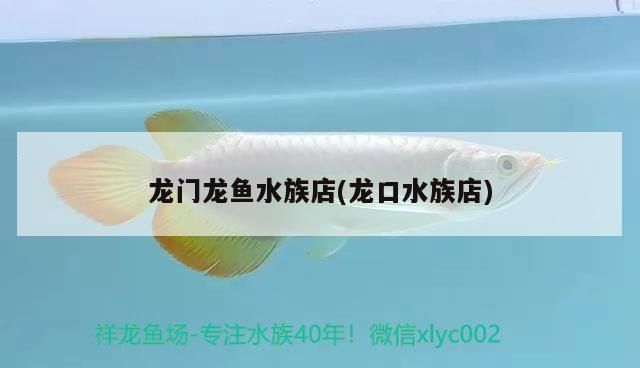 龍門龍魚(yú)水族店(龍口水族店) 薩伊藍(lán)魚(yú)