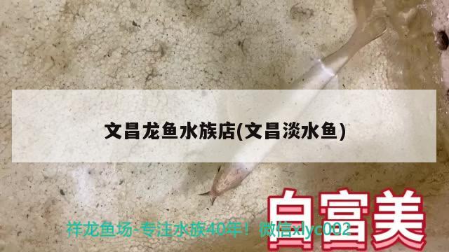 文昌龍魚水族店(文昌淡水魚) 白化火箭