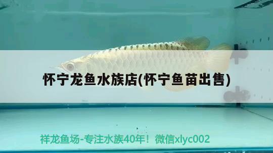 懷寧龍魚水族店(懷寧魚苗出售)