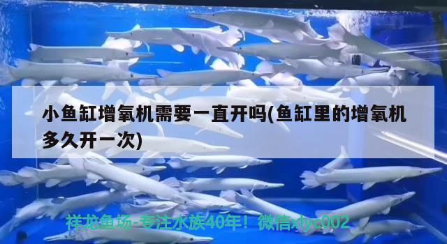 小魚缸增氧機需要一直開嗎(魚缸里的增氧機多久開一次) 養(yǎng)魚的好處