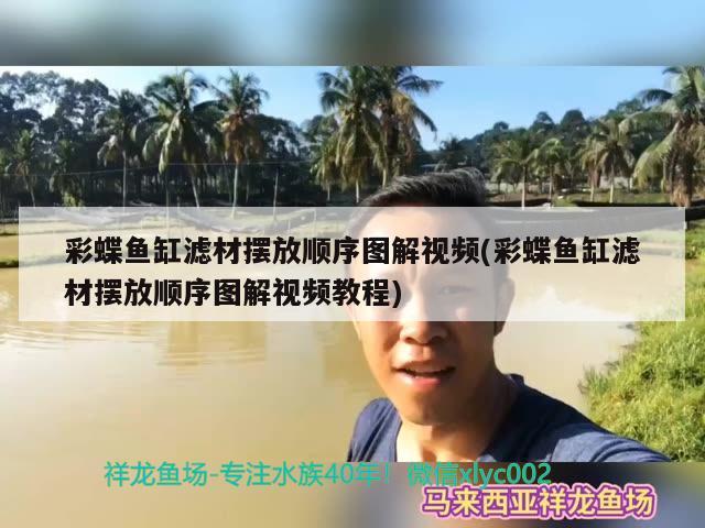 彩蝶魚缸濾材擺放順序圖解視頻(彩蝶魚缸濾材擺放順序圖解視頻教程)