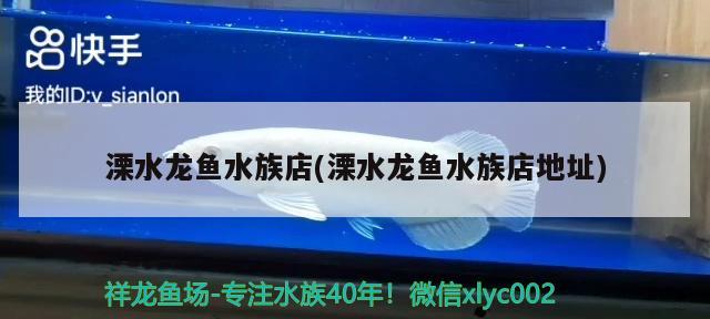 溧水龍魚水族店(溧水龍魚水族店地址)