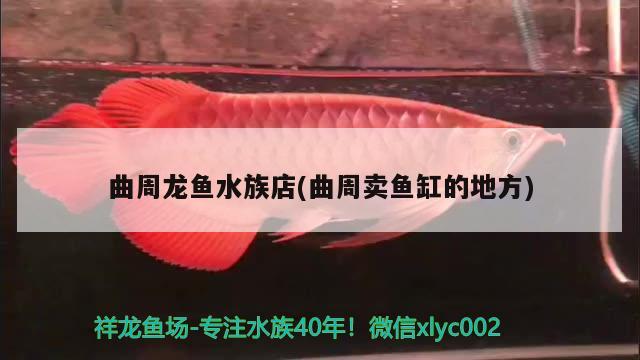 曲周龍魚水族店(曲周賣魚缸的地方)