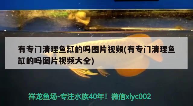 有專門清理魚缸的嗎圖片視頻(有專門清理魚缸的嗎圖片視頻大全) 其它水族用具設(shè)備