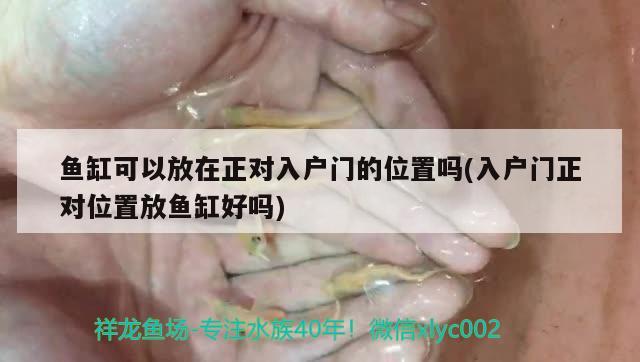 魚缸可以放在正對入戶門的位置嗎(入戶門正對位置放魚缸好嗎)