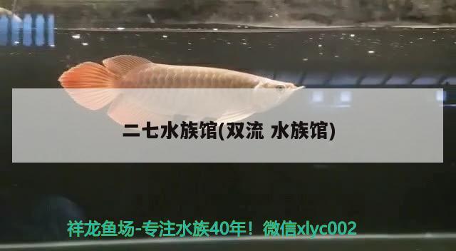 二七水族館(雙流水族館) 招財(cái)戰(zhàn)船魚(yú) 第1張