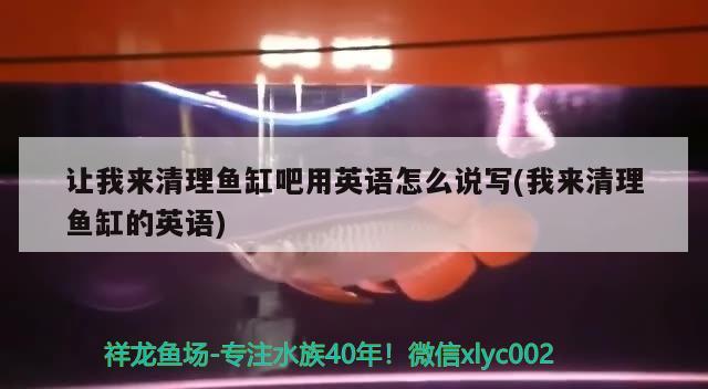 讓我來清理魚缸吧用英語怎么說寫(我來清理魚缸的英語)