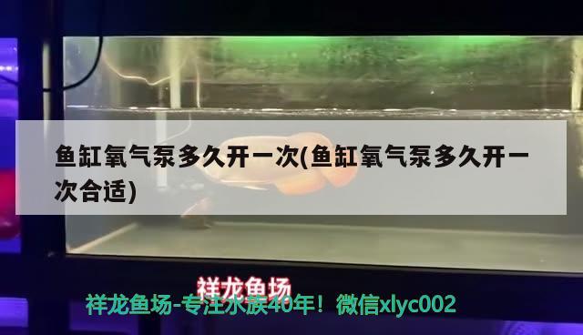 魚缸氧氣泵多久開一次(魚缸氧氣泵多久開一次合適) 薩伊藍(lán)魚