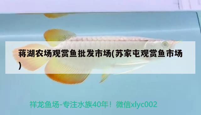 蔣湖農(nóng)場觀賞魚批發(fā)市場(蘇家屯觀賞魚市場) 觀賞魚批發(fā)