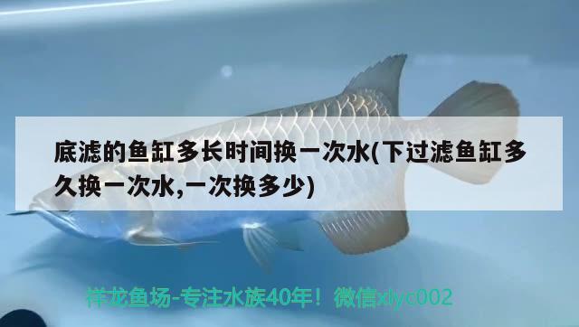 底濾的魚缸多長時(shí)間換一次水(下過濾魚缸多久換一次水,一次換多少) 七彩神仙魚