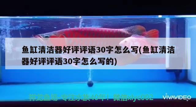 魚缸清潔器好評評語30字怎么寫(魚缸清潔器好評評語30字怎么寫的) 名貴錦鯉魚