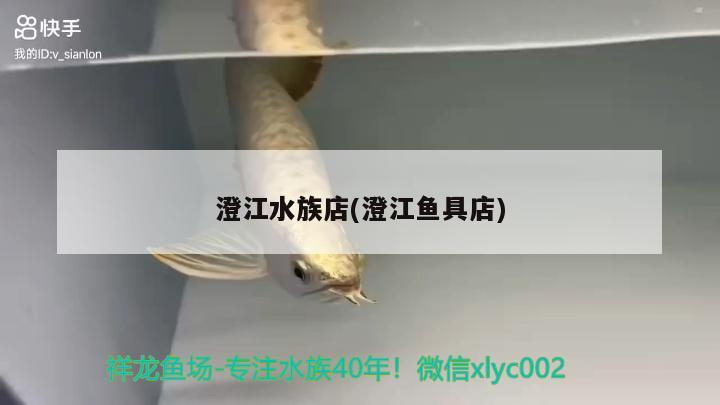 澄江水族店(澄江魚具店) 魚糧魚藥