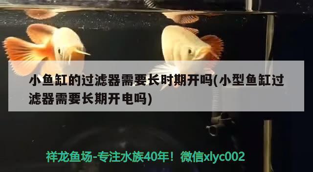 小魚缸的過濾器需要長時期開嗎(小型魚缸過濾器需要長期開電嗎) 金三間魚