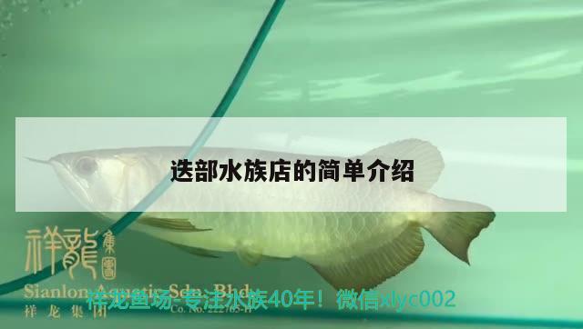 迭部水族店的簡單介紹 黃鰭鯧魚