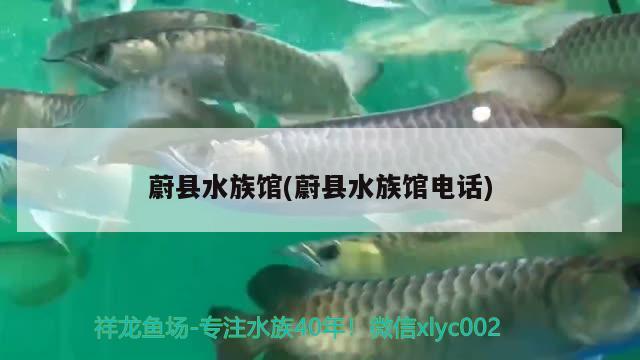 蔚縣水族館(蔚縣水族館電話) 祥龍魚場