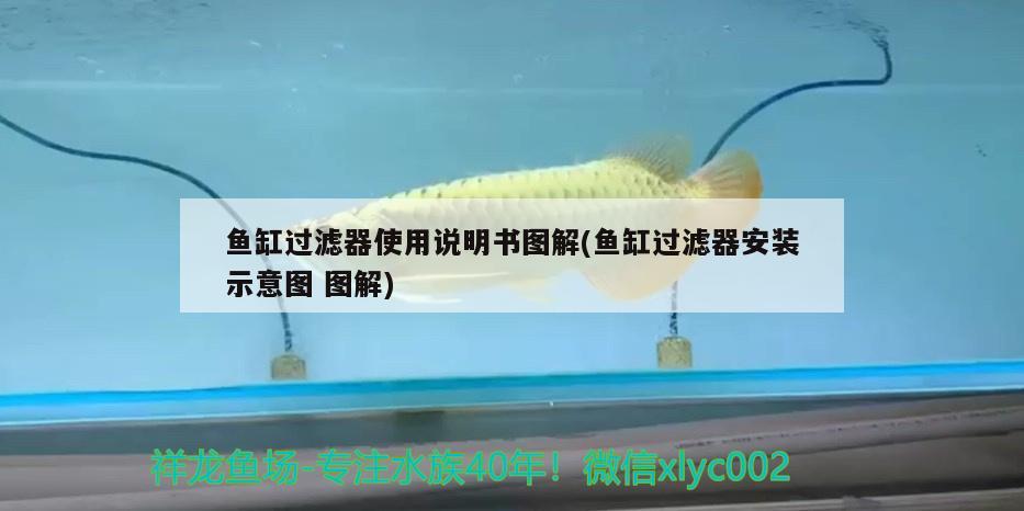 魚缸過濾器使用說明書圖解(魚缸過濾器安裝示意圖圖解) 廣州祥龍國際水族貿(mào)易