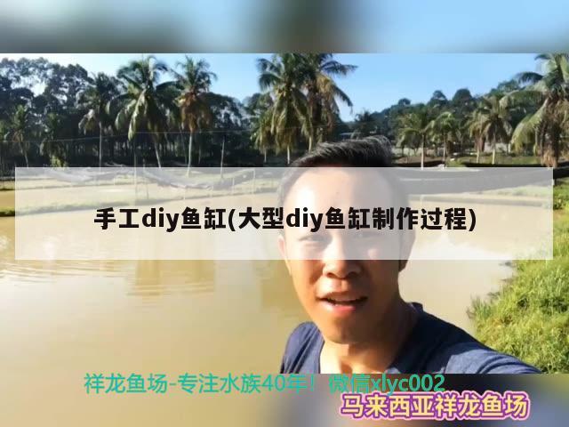 手工diy魚缸(大型diy魚缸制作過程) 白化火箭