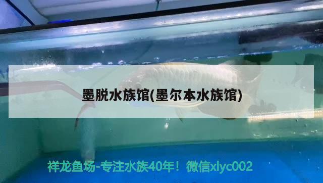 墨脫水族館(墨爾本水族館) 魚缸水質(zhì)穩(wěn)定劑