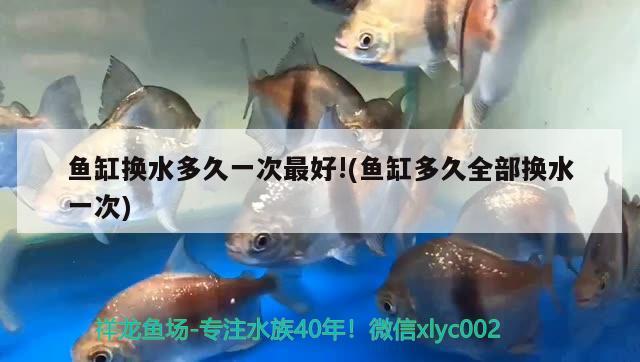 魚缸換水多久一次最好!(魚缸多久全部換水一次)