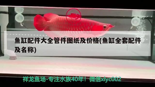 魚(yú)缸配件大全管件圖紙及價(jià)格(魚(yú)缸全套配件及名稱) 魚(yú)缸清潔用具