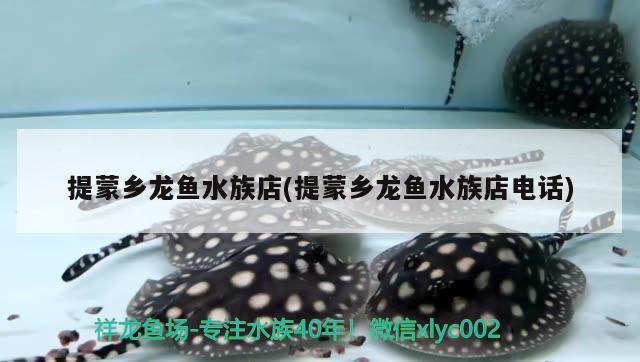 提蒙鄉(xiāng)龍魚水族店(提蒙鄉(xiāng)龍魚水族店電話) 其它水族用具設(shè)備