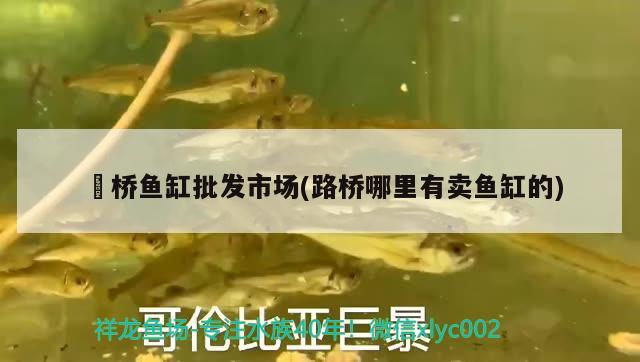 埇橋魚缸批發(fā)市場(路橋哪里有賣魚缸的) 白子關(guān)刀魚苗