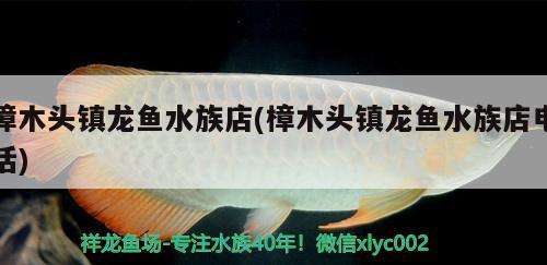 樟木頭鎮(zhèn)龍魚水族店(樟木頭鎮(zhèn)龍魚水族店電話)