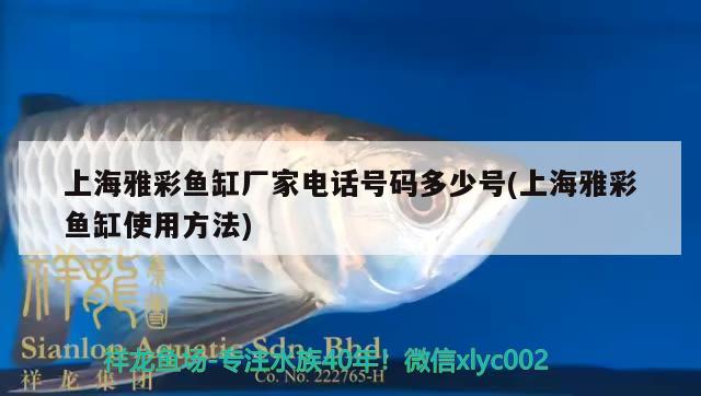 上海雅彩魚缸廠家電話號碼多少號(上海雅彩魚缸使用方法) 鸚鵡魚