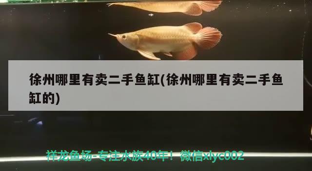 徐州哪里有賣二手魚缸(徐州哪里有賣二手魚缸的)